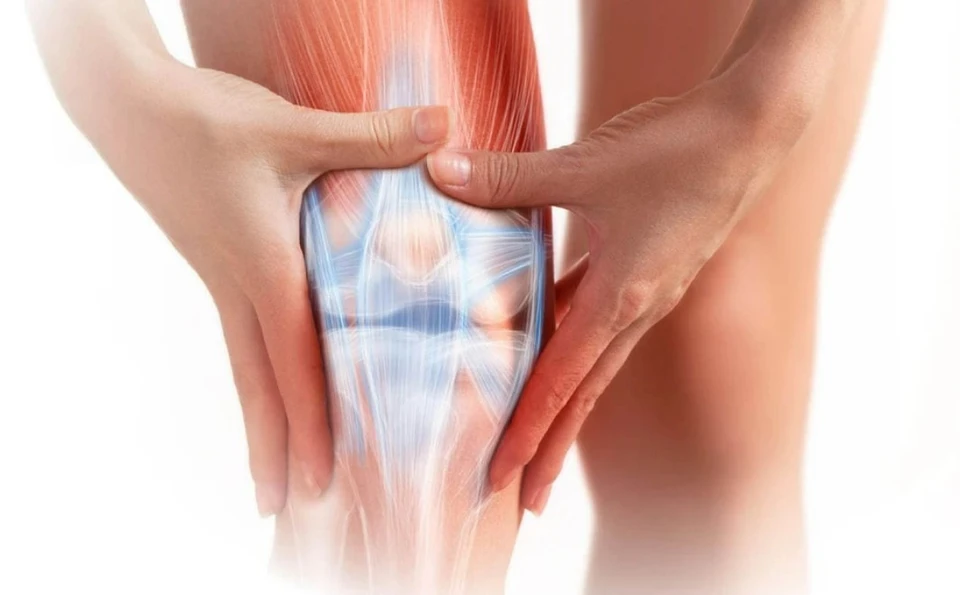 A gerincoszlop egészsége